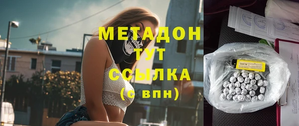 индика Алзамай