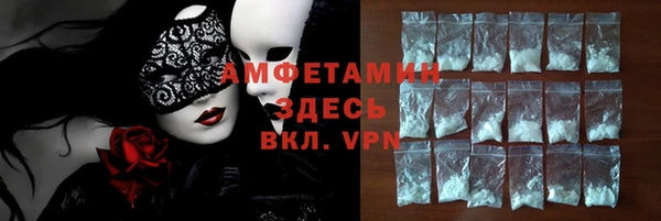индика Алзамай