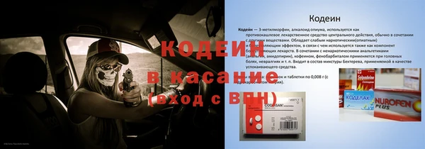 индика Алзамай