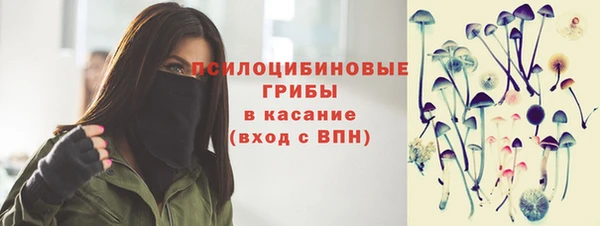 стаф Михайловка