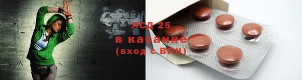 индика Алзамай