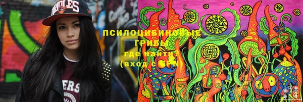 индика Алзамай